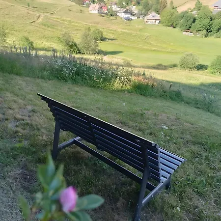 Black Forest Hideaway Todtnau